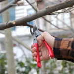 Rtrmax RH05808 Budama Makası satın al