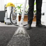 Rtrmax RTM8175 Endüstriyel Halı ve Koltuk Yıkamalı Süpürge satın al